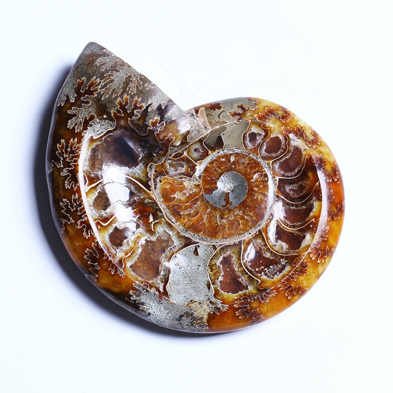 Natural High Quality Hand Carved Polished Snail Conch Cossil Bowl Crystal Quartz Ashtray For Decoration