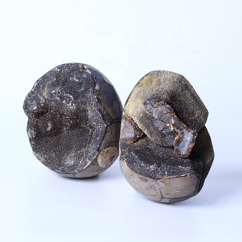 Natural Big Dragon Stone Septarium Cluster Geode Quartz Egg Cave For Home Decoration