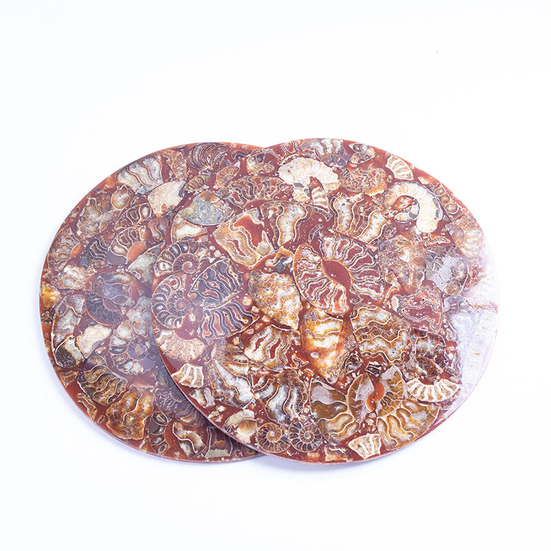 Natural spiral chrysanthemum spiral disc gift