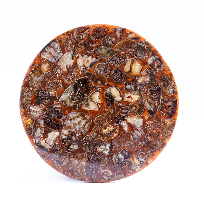 Natural spiral chrysanthemum spiral disc gift