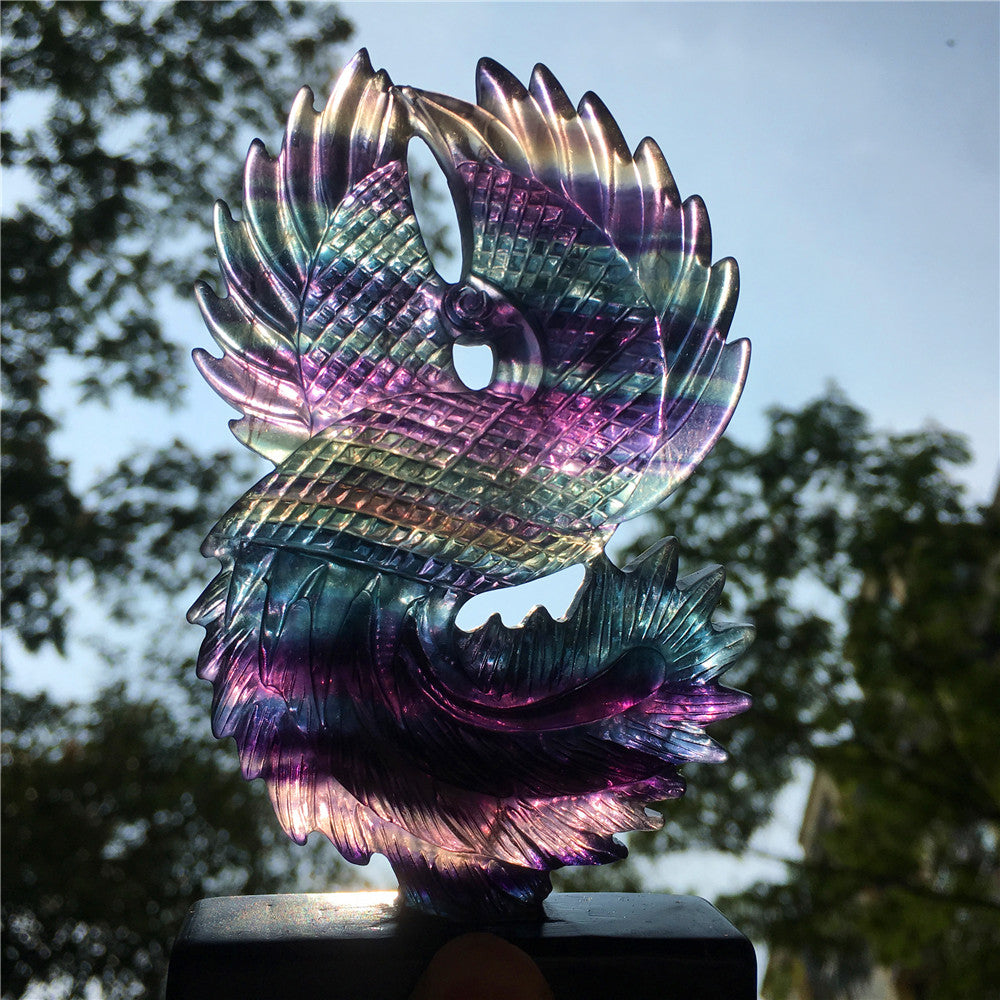 High quality rainbow hand engraving Phoenix fluorite