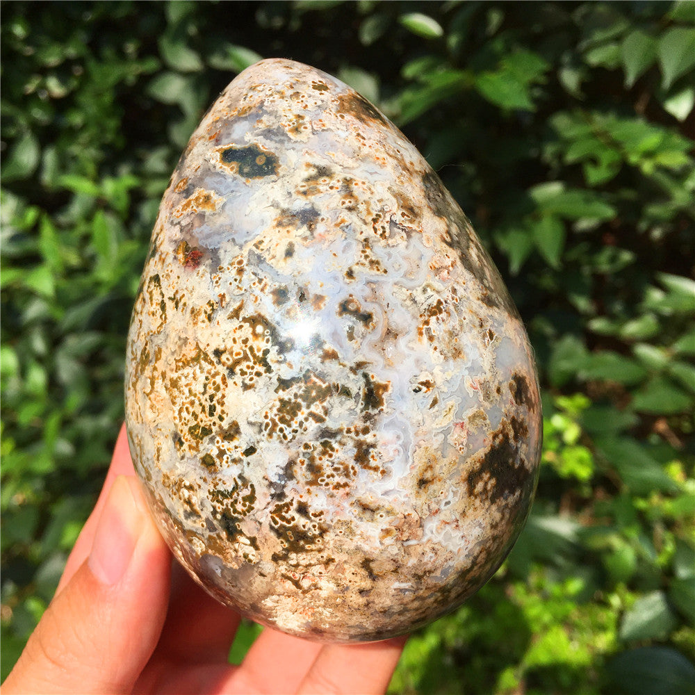 729G Huevo tallado en cristal de Ocean Jasper F11