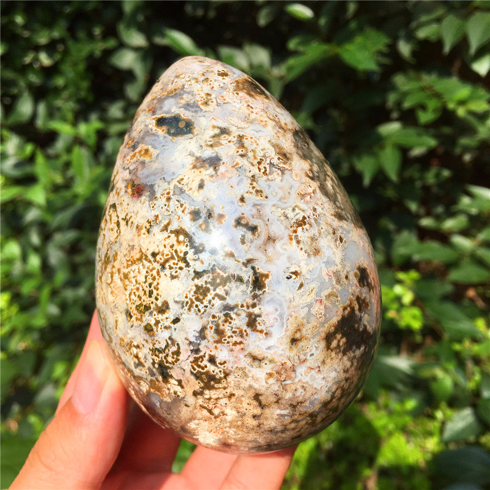 729G Huevo tallado en cristal de Ocean Jasper F11