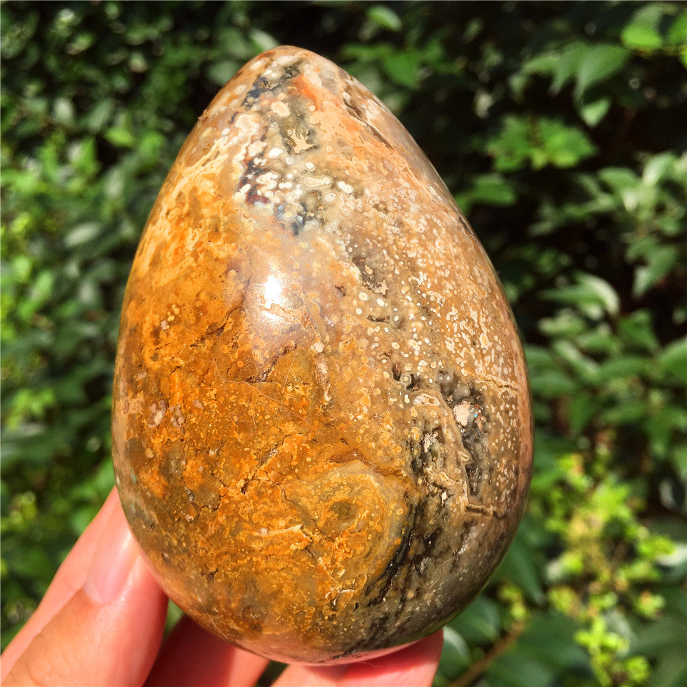 602G Huevo tallado en cristal de Ocean Jasper F5