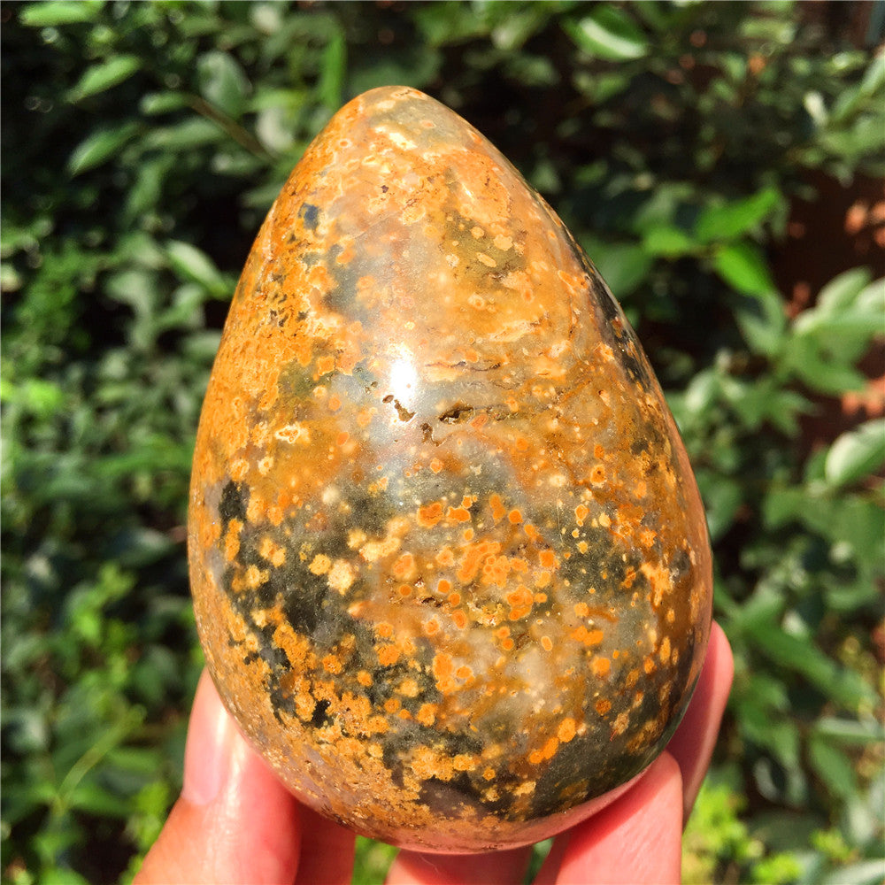 440G Huevo tallado en cristal de Ocean Jasper F6