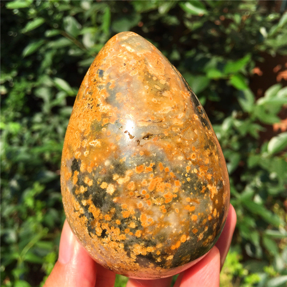 440G Huevo tallado en cristal de Ocean Jasper F6