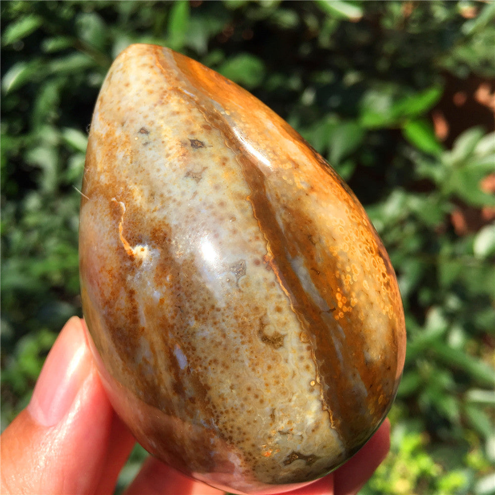 266G  Crystal carved egg of Ocean Jasper  F15