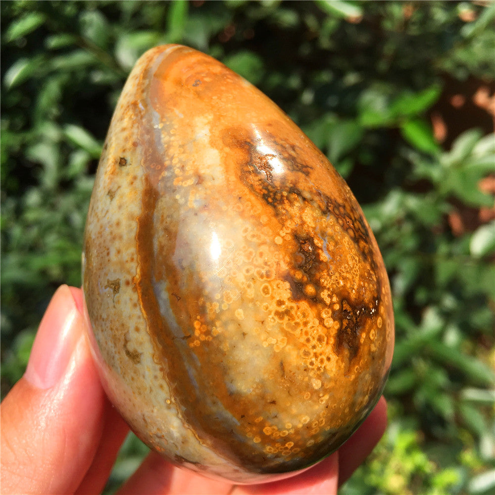 266G  Crystal carved egg of Ocean Jasper  F15