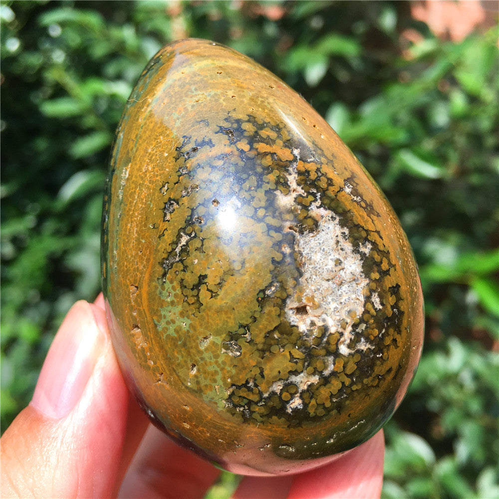 324G  Crystal carved egg of Ocean Jasper  F10