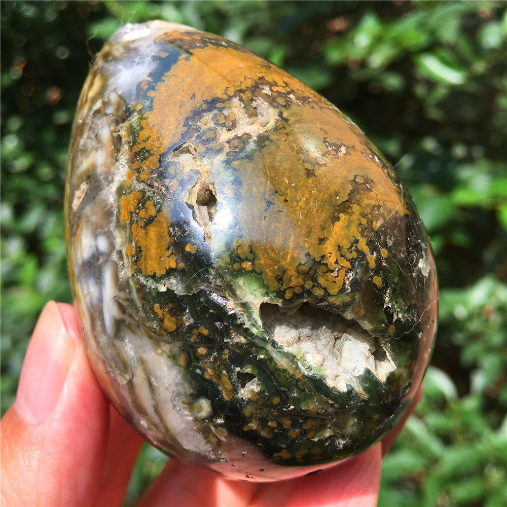 324G  Crystal carved egg of Ocean Jasper  F10