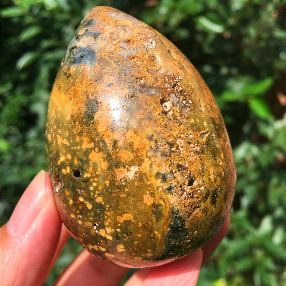237G Huevo tallado en cristal de Ocean Jasper F17
